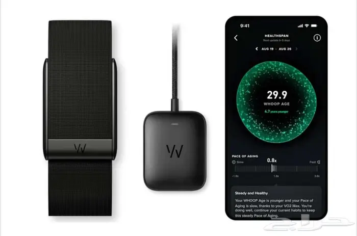 سوارة whoop بدون اشتراك 0