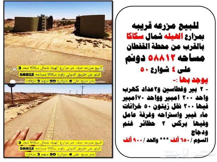 ابحث عن مزرعه او ارض تجاريه بالجوف سكاكا عروض مميزه 21