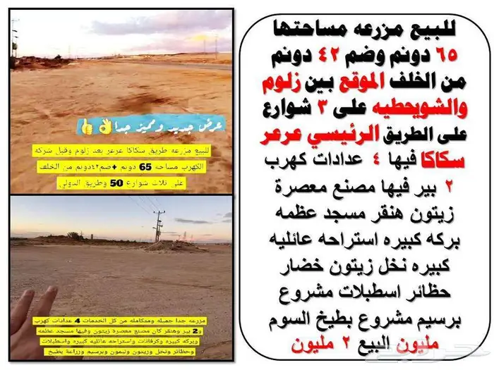 ابحث عن مزرعه او ارض تجاريه بالجوف سكاكا عروض مميزه 23