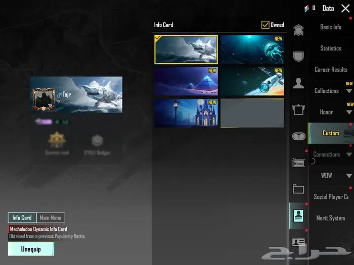 حساب ببجي فخم بسعر طيب 2