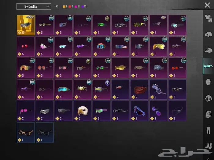 حساب ببجي فخم بسعر طيب 13