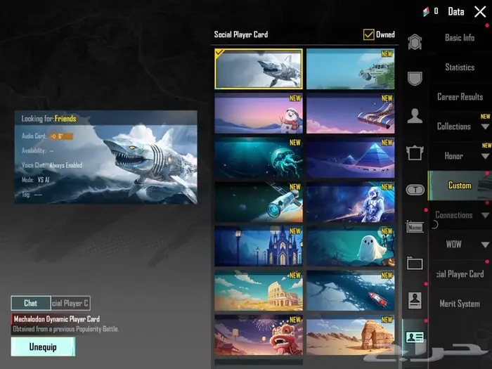 حساب ببجي فخم بسعر طيب 23