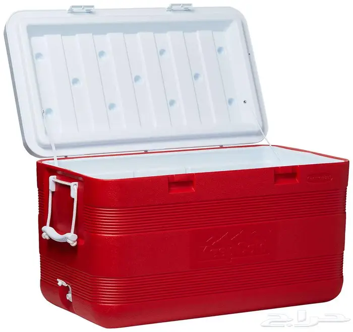 رحلة بياضه رحلة صيد رحله رحلات بحريه نزهه داخل شرم أبحر 15