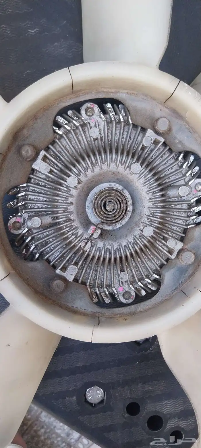 تماتك ددسن 1