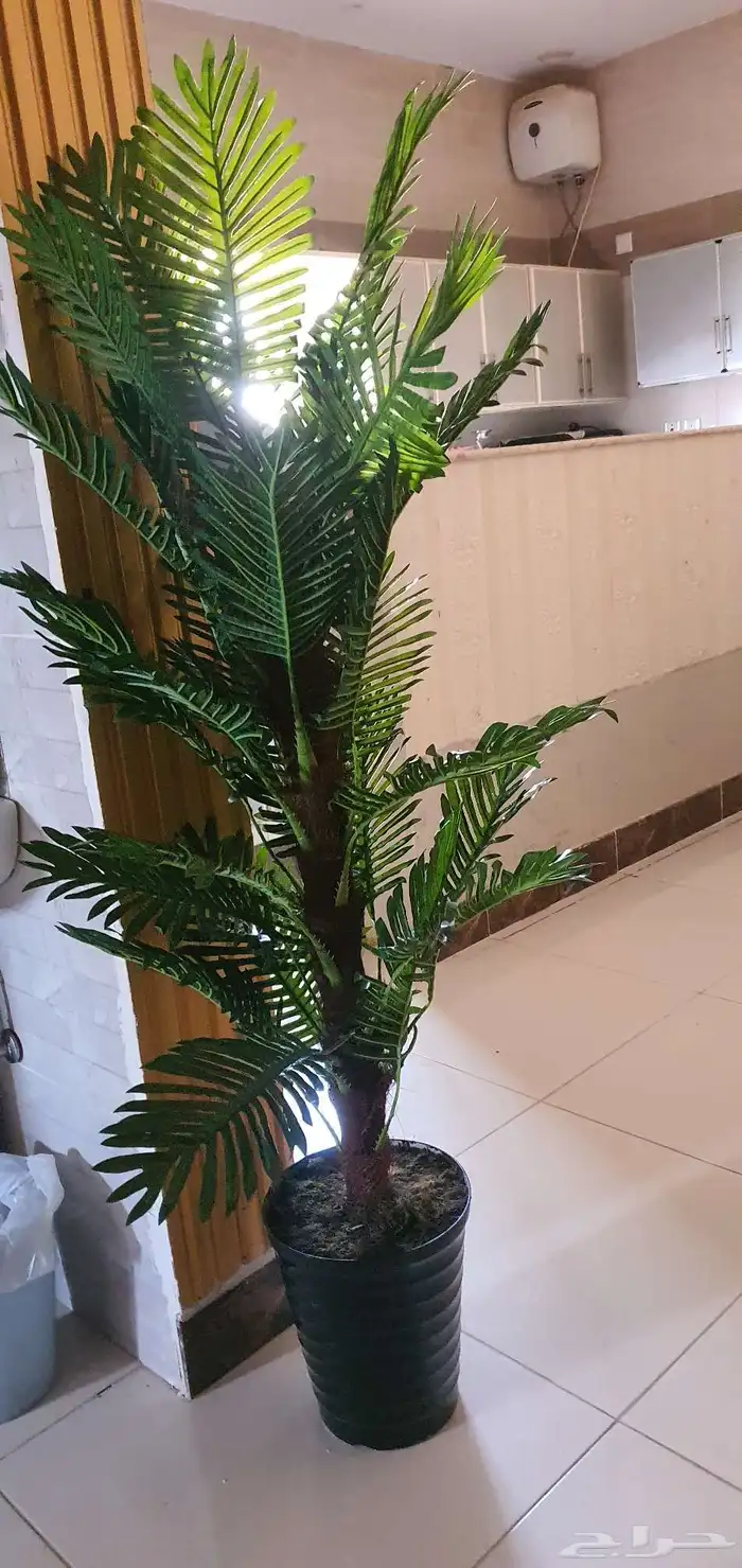 زينة شجره للبيت 0