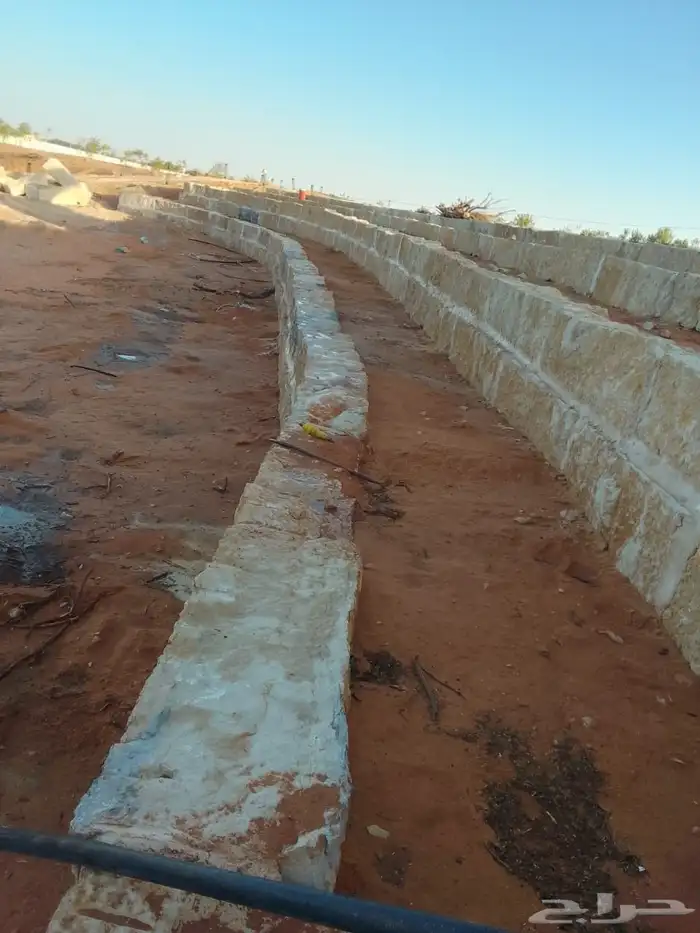 لدينا موسسه توريد وغرس نخيل عربي وشنطني وشغال مدرجات ومشيات 7