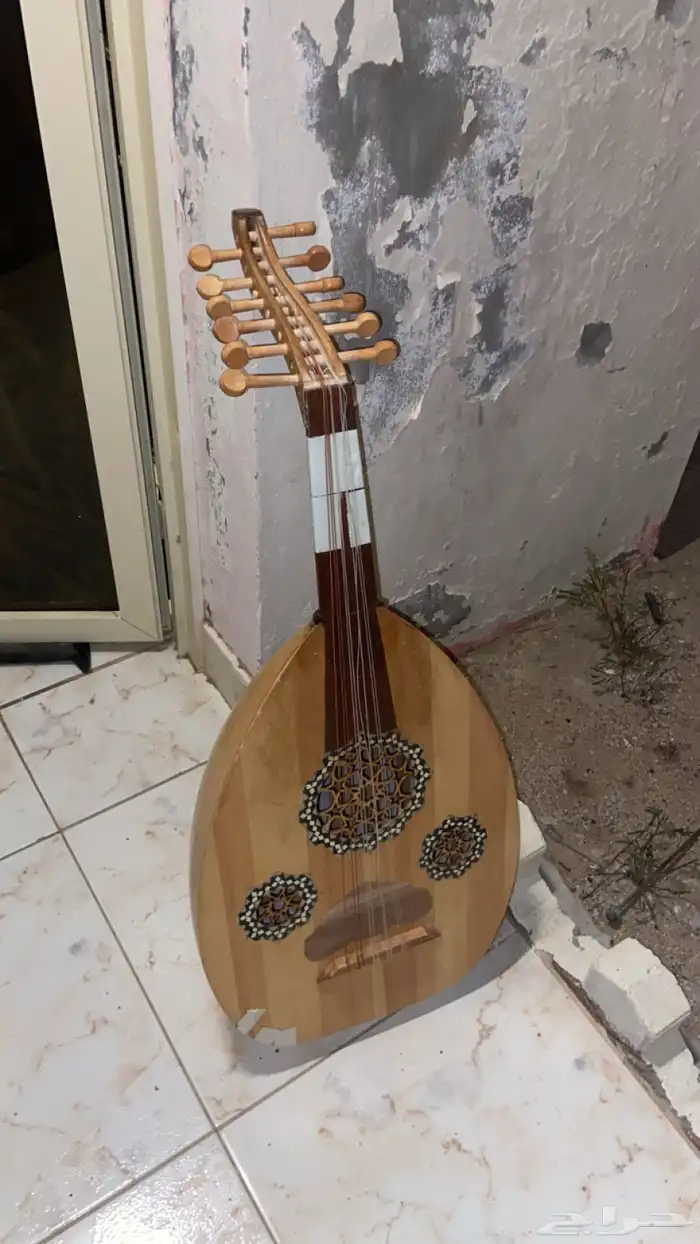 عود للبيع لايجي الا الصامل لاهنتم 0