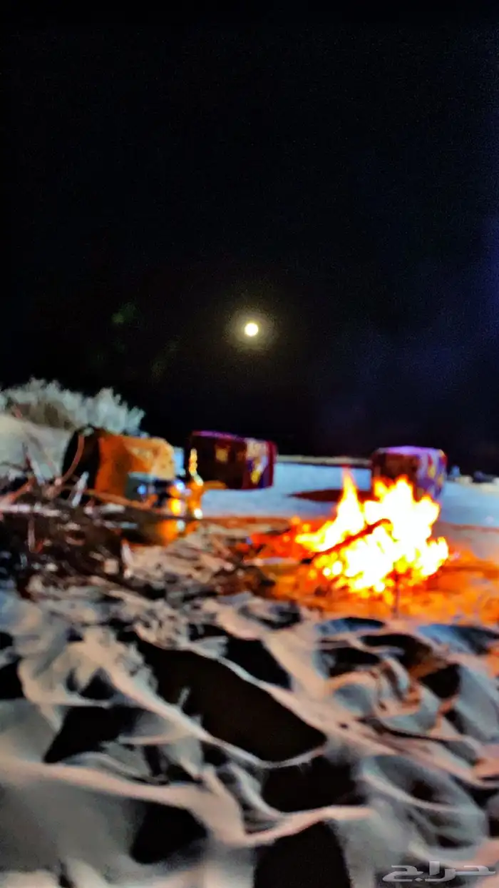 حطب مستورد أفريقي 8