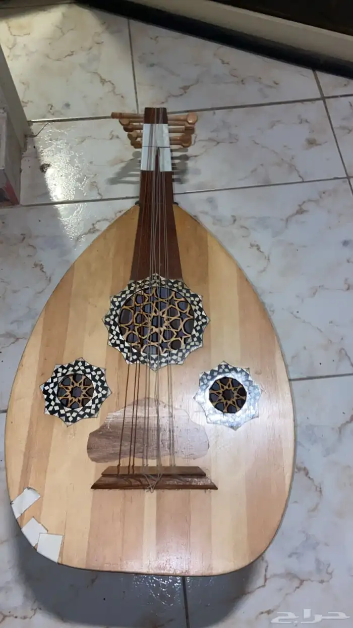 عود للبيع لايجي الا الصامل لاهنتم 1