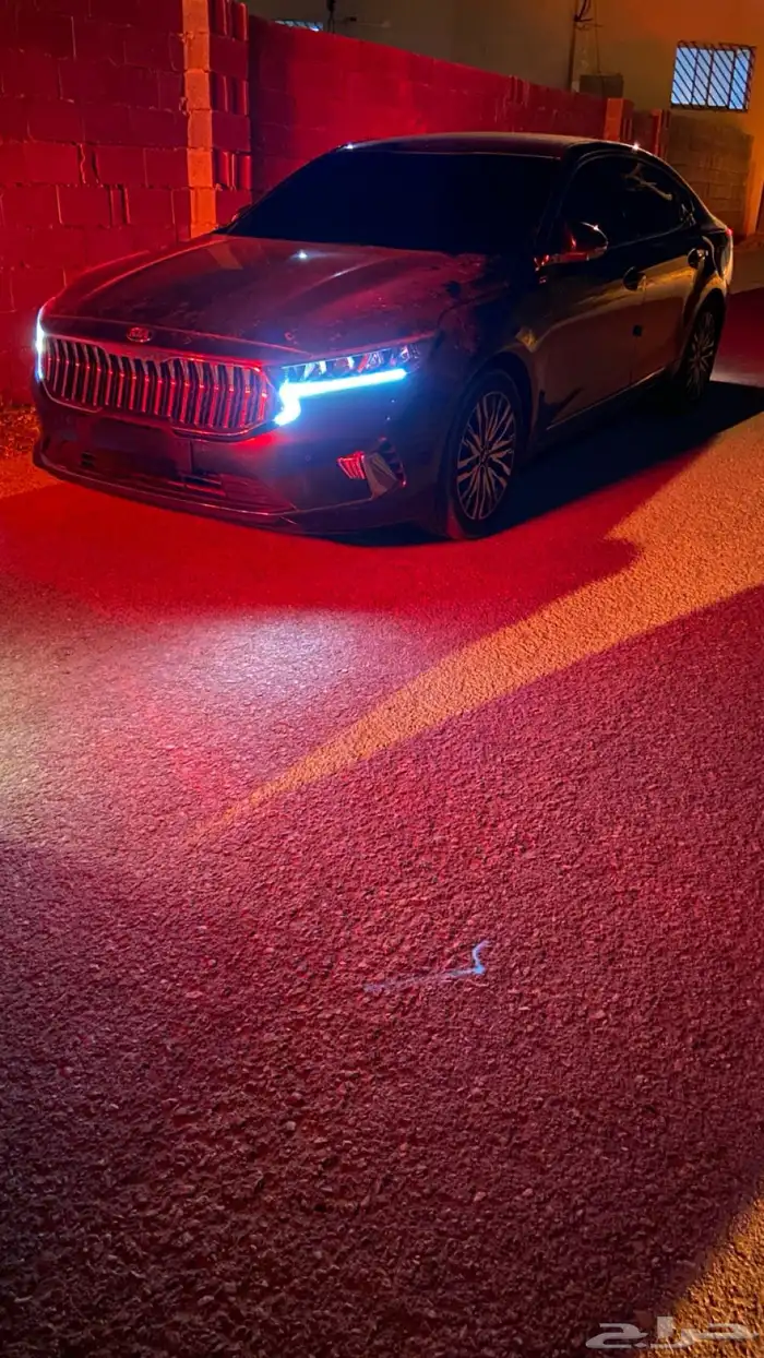 كادينزا 2021 11