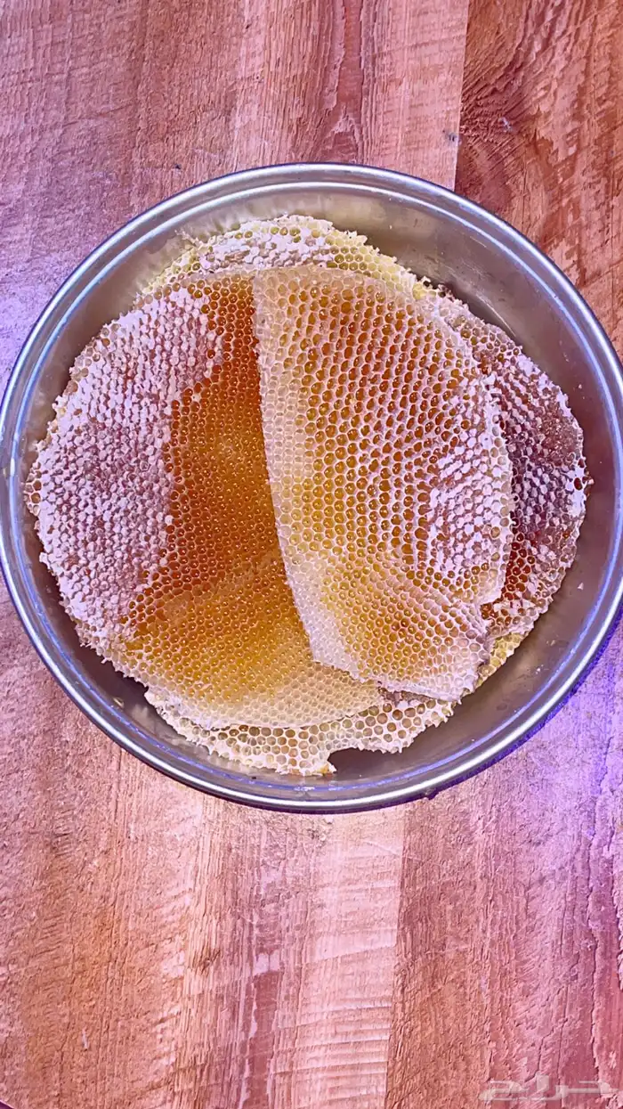 عسل سدر صافي ومضمون هالموسم 3