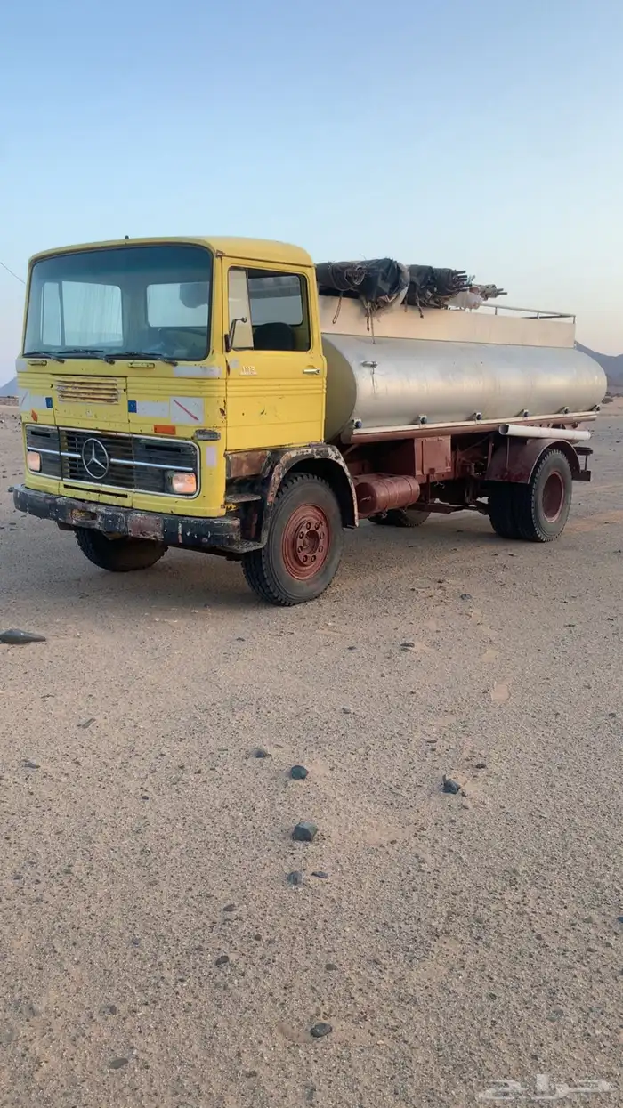 حصنيه اللبي للبيع 0