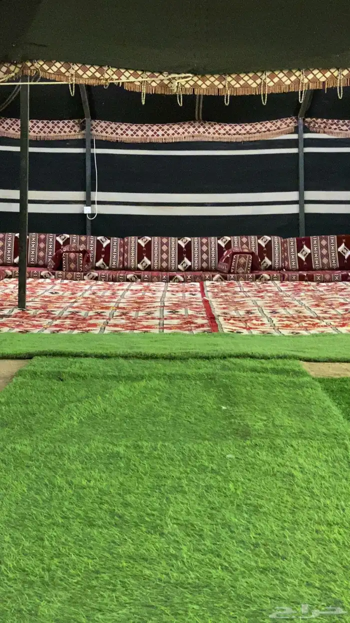 مخيمات جدة 35