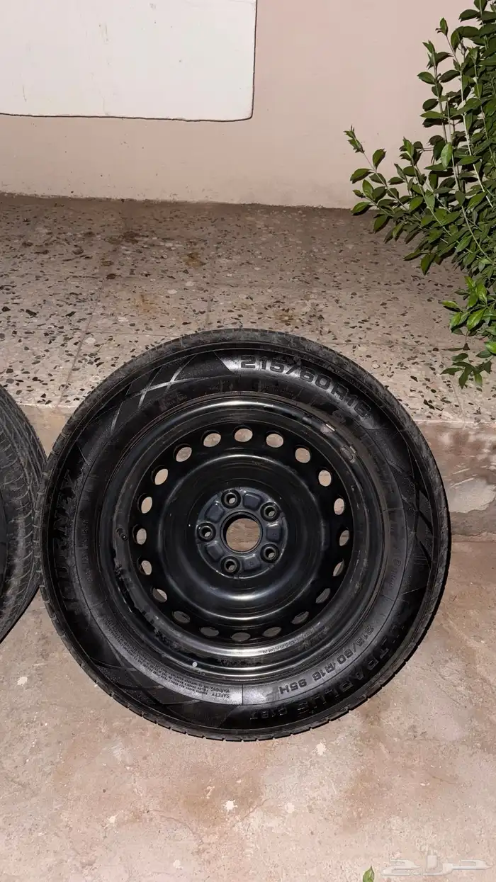 جنوط سوح وكاله مقاس 16 مع الكفرات مقاس 16 1