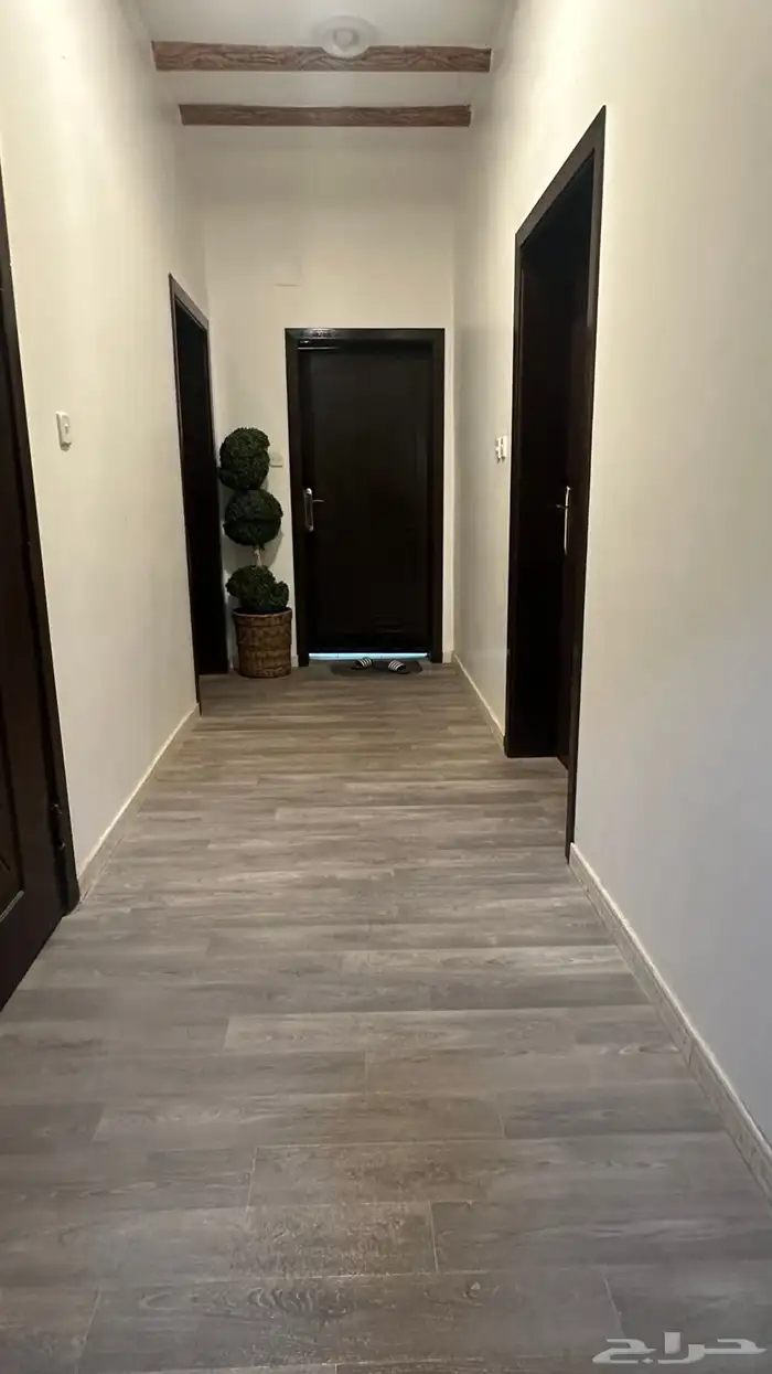 عرض الشتاء 10