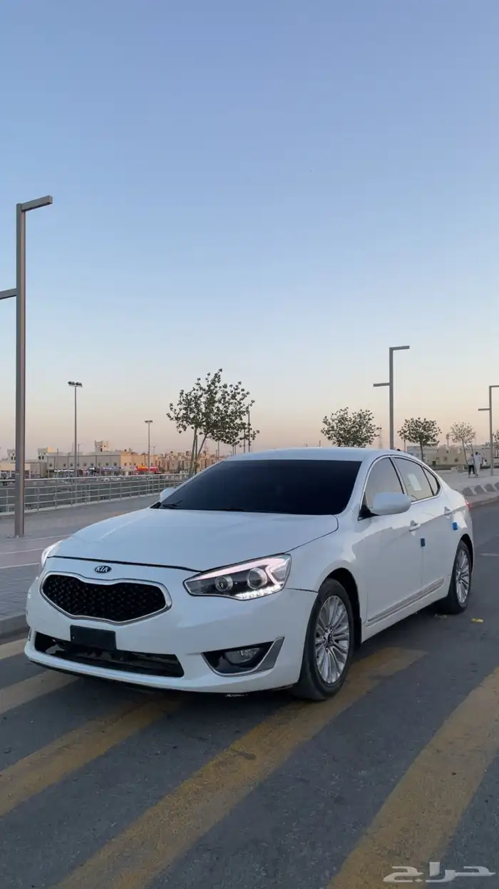 كادينزا 2016 6