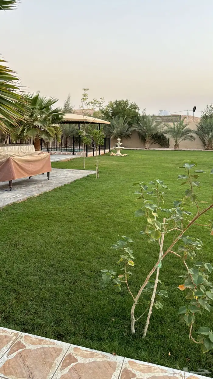 استراحة للاجار في ديراب مساحة كبيرة ومرتبة للمناسبات 21