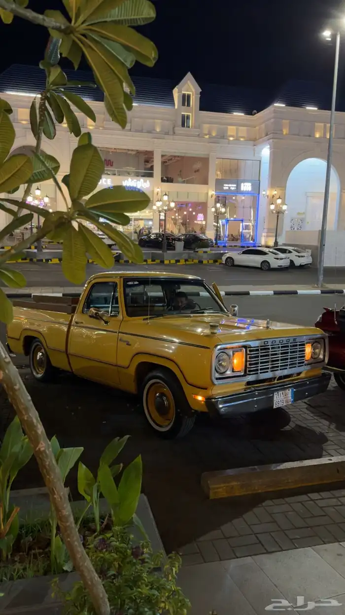 دوج 77 من نوادر الكلاسيك 3