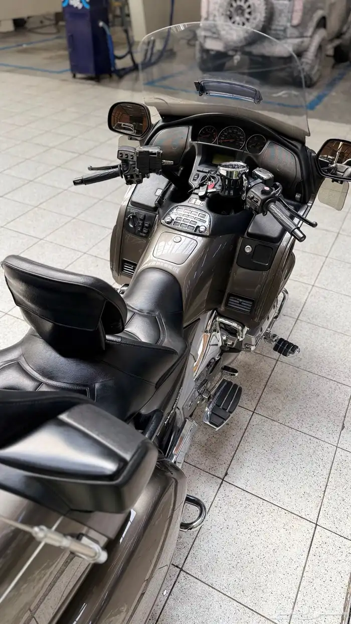 قولد وينق 2009 7