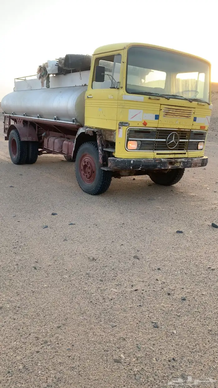 حصنيه اللبي للبيع 1