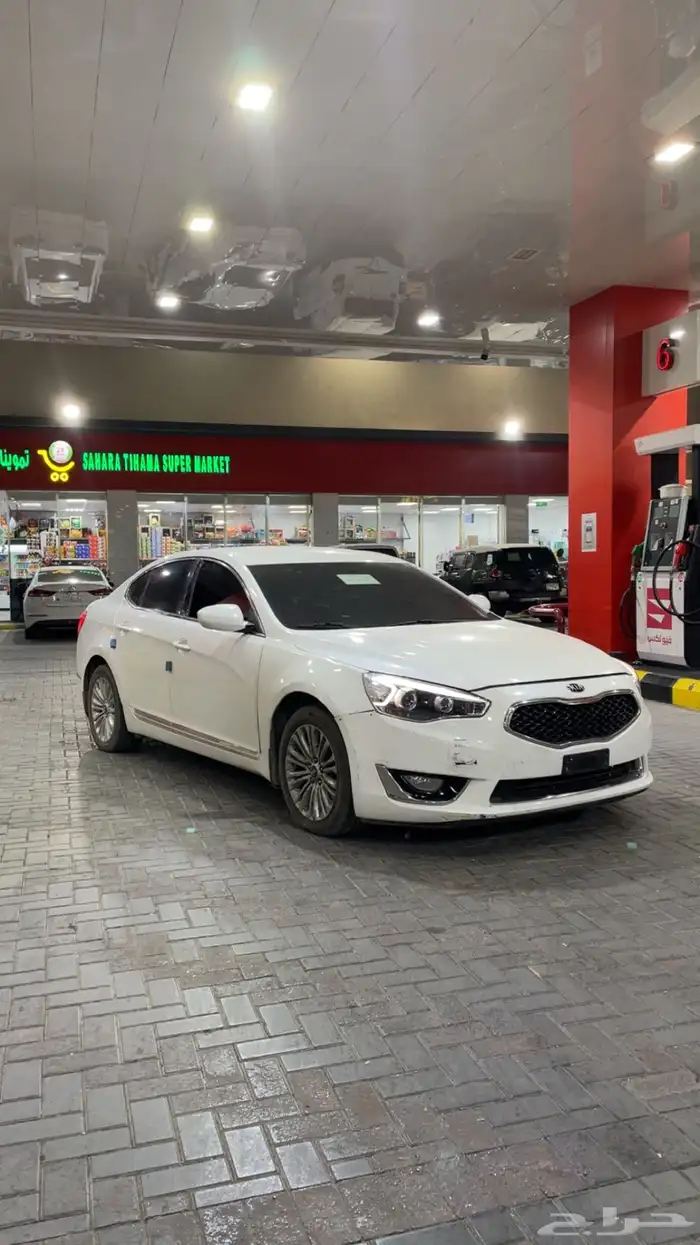 كادينزا 2016 2