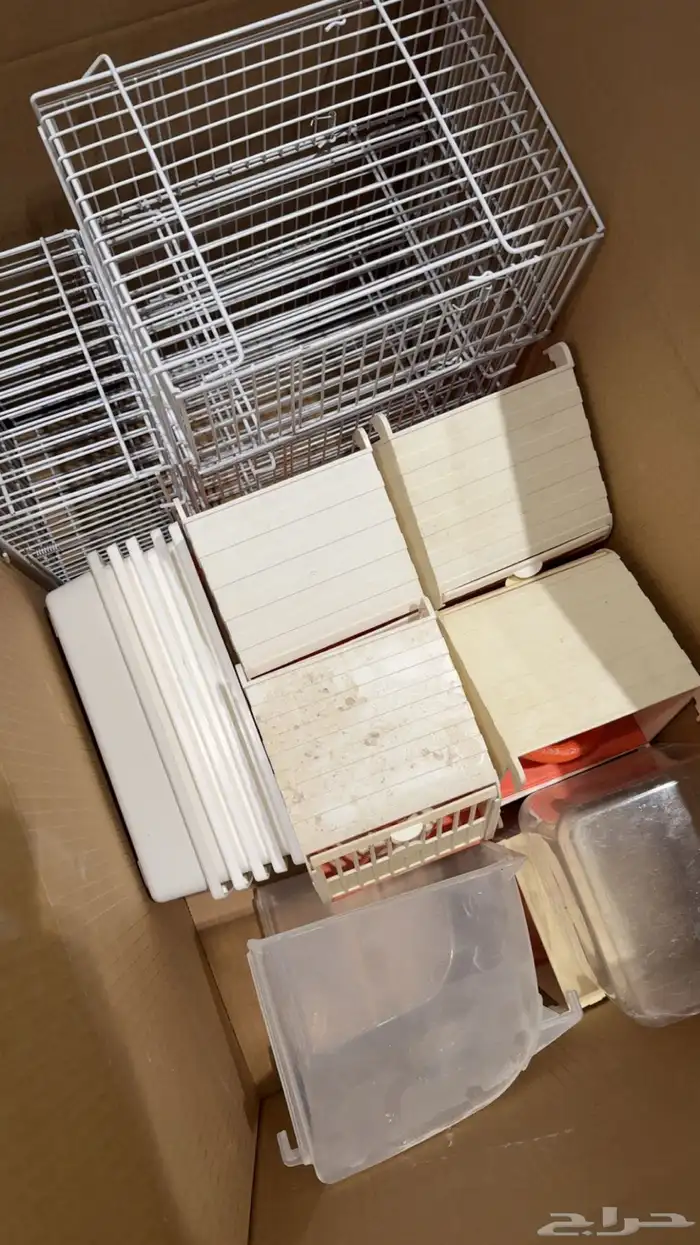 طيور مستلزمات 1