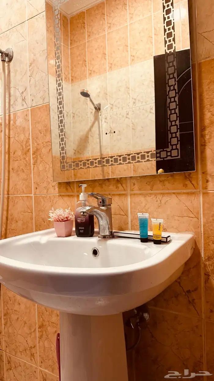 عرض الشتاء 11