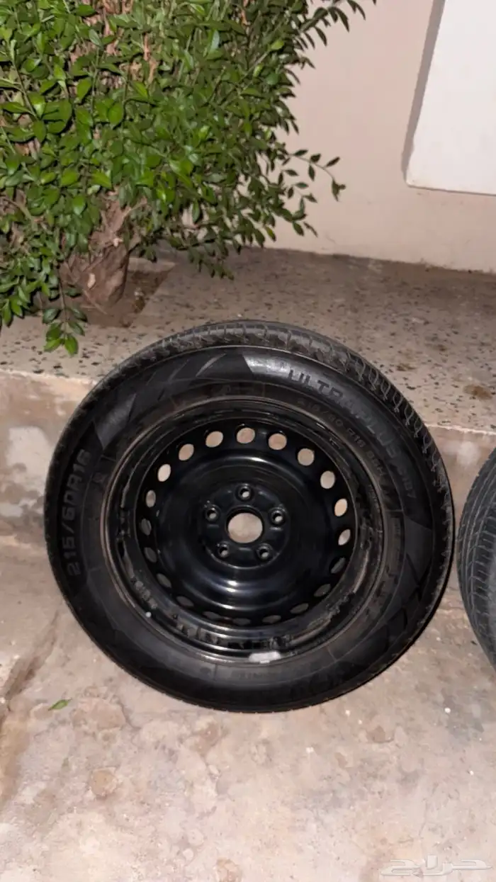 جنوط سوح وكاله مقاس 16 مع الكفرات مقاس 16 4