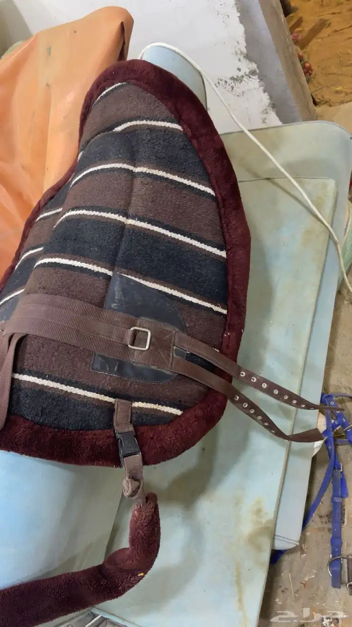 لبادت ركوب جديده 0