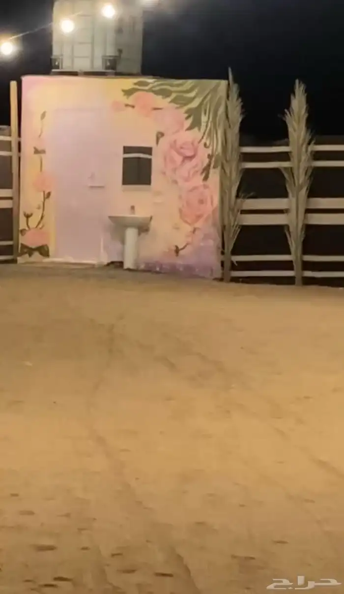 مخيمات جدة 23