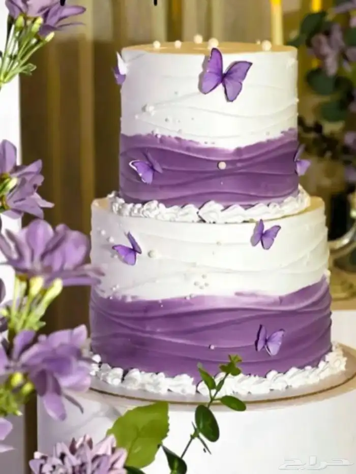 كيكة طبقات 0