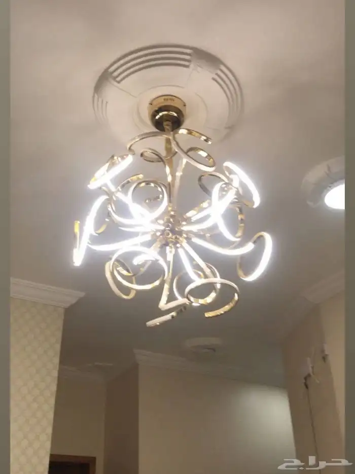 نجفه لد كبيره 1