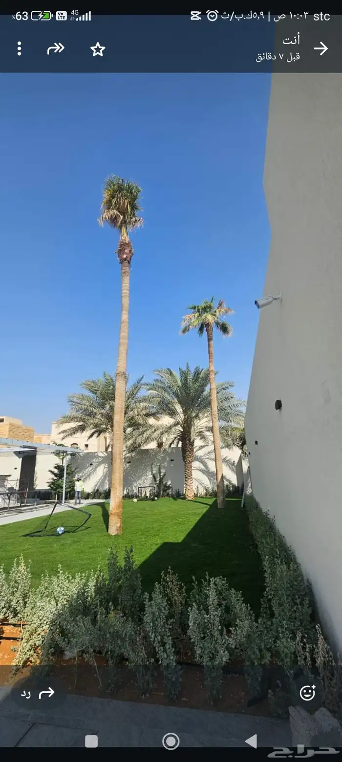 نقوم بتوريد تركيب جميع انواع النخيل 1