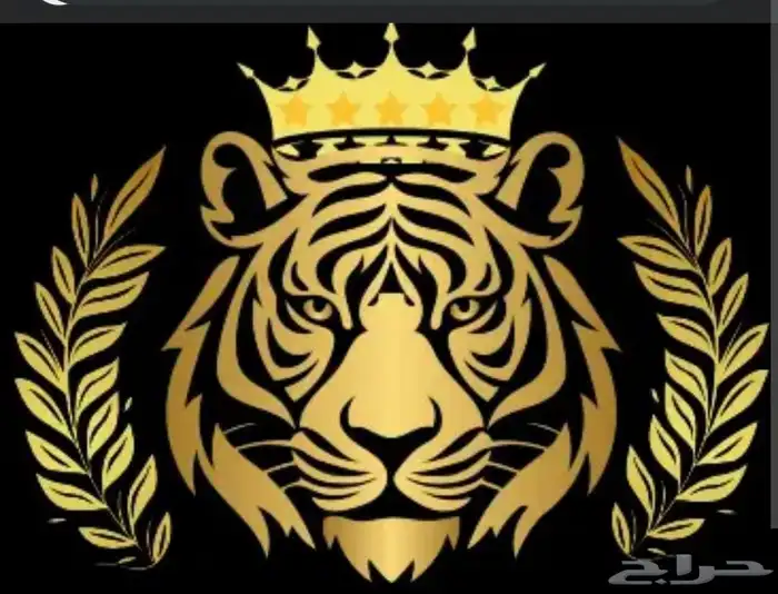 أفضل اشتراك IPTV في الطائف   بدون تقطيع وبدون صداع 7