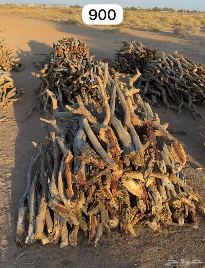 حطب مستورد س م ر 0