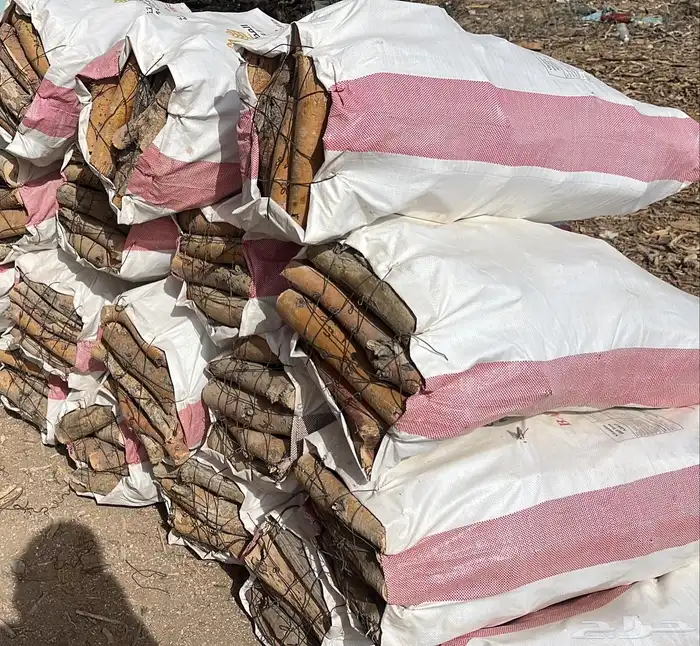 حطب مستورد أفريقي 6