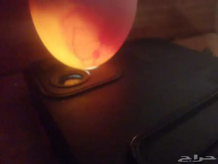 دجاج بياض شباب. صوص. منية القاني 0