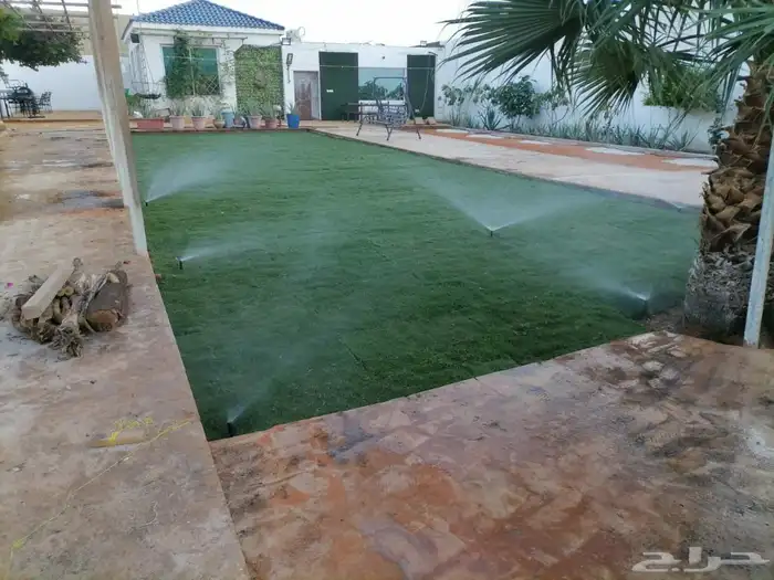 ثيل طبيعي سي2000 درجه اولي ممتاز. ثيل سي الفين 2