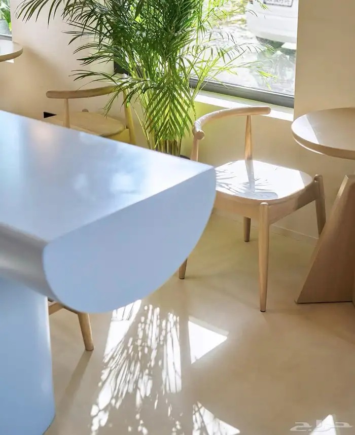 كرسي فخم من الخشب الزان 1