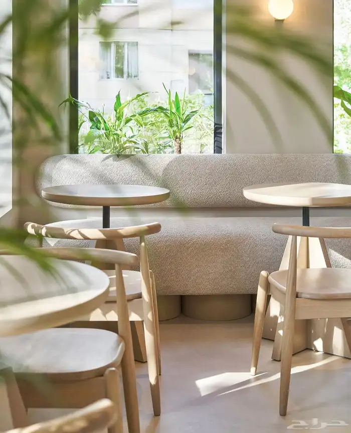 كرسي فخم من الخشب الزان 0