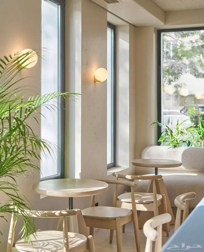 كرسي فخم من الخشب الزان 2