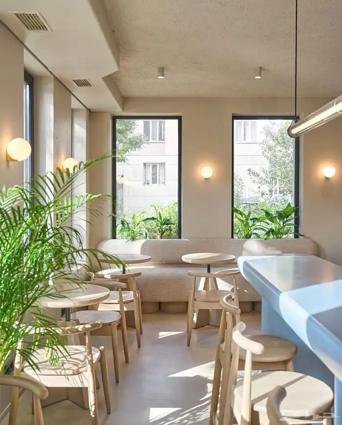 كرسي فخم من الخشب الزان 6