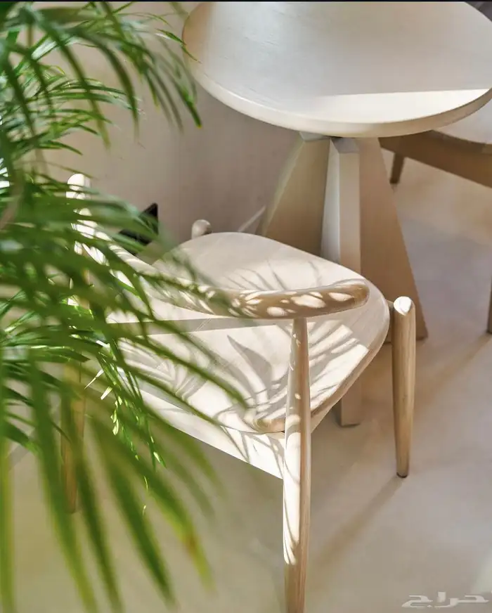 كرسي فخم من الخشب الزان 3