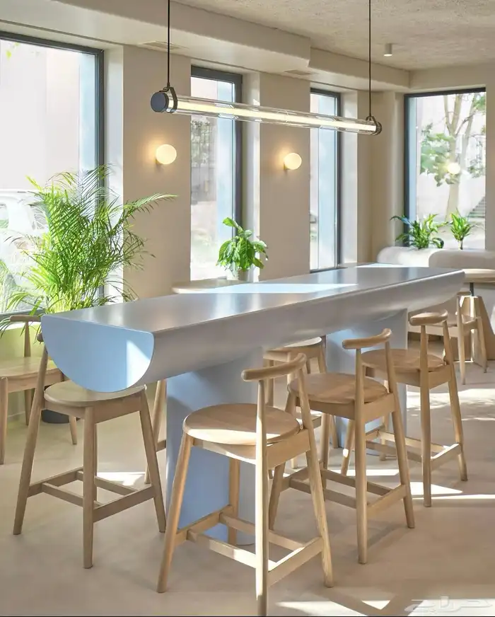 كرسي فخم من الخشب الزان 5