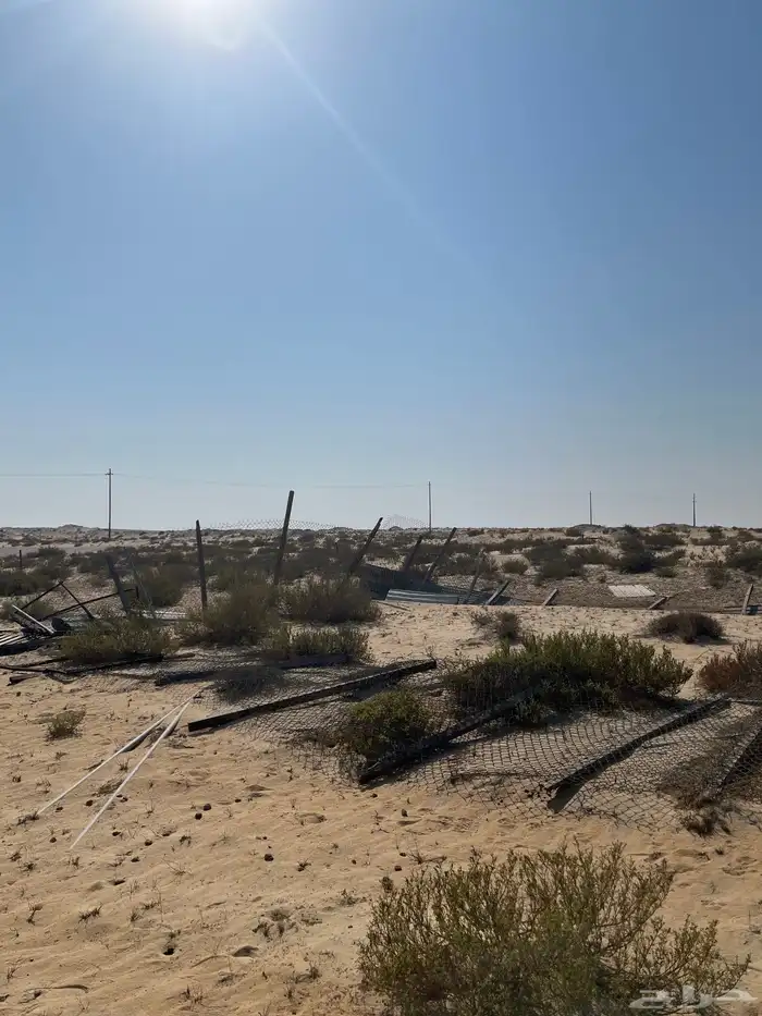 عزبة للبيع 16