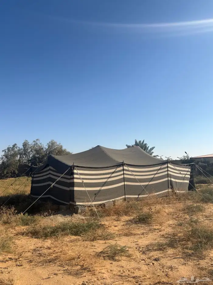 بيت شعر للبيع 0