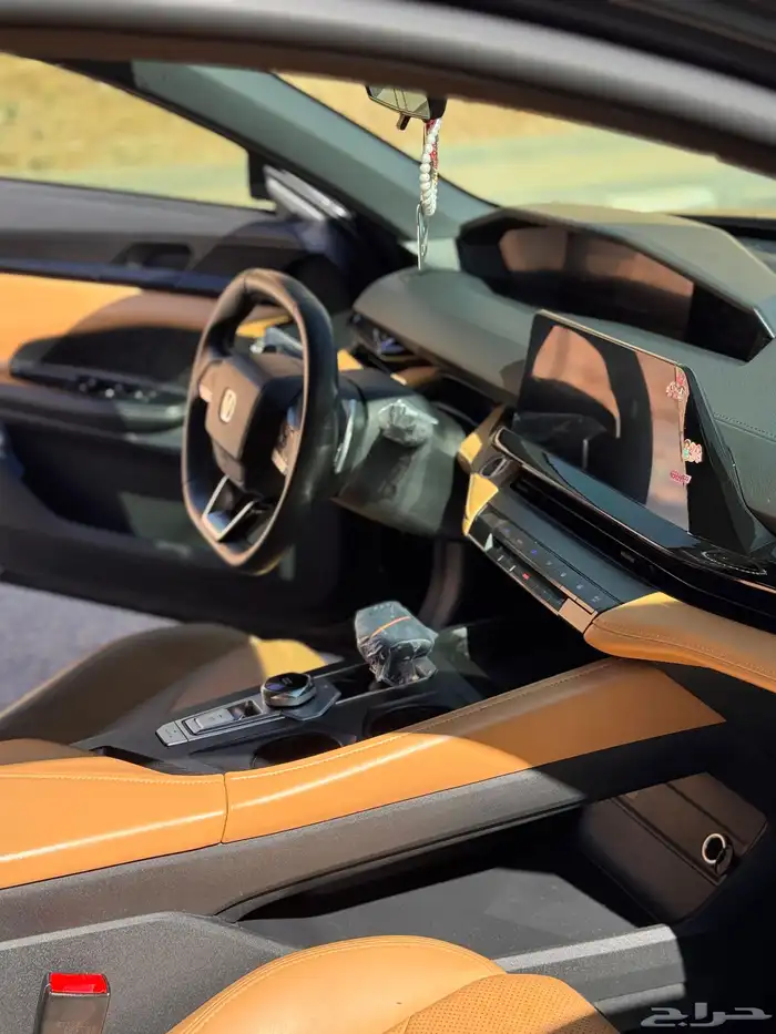 شانجان يوني في 2024 5