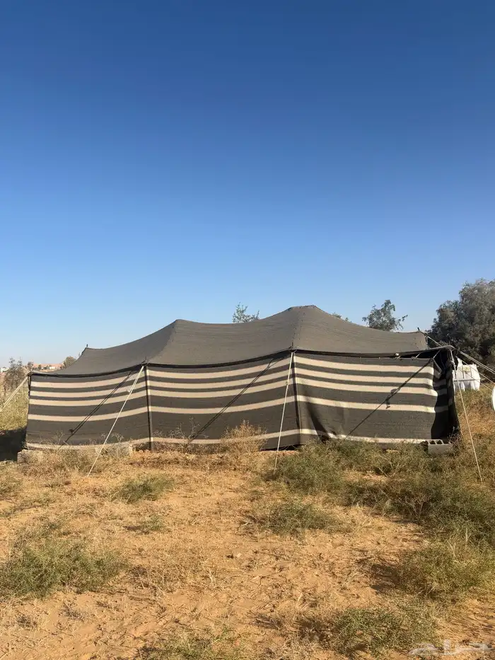 بيت شعر للبيع 1