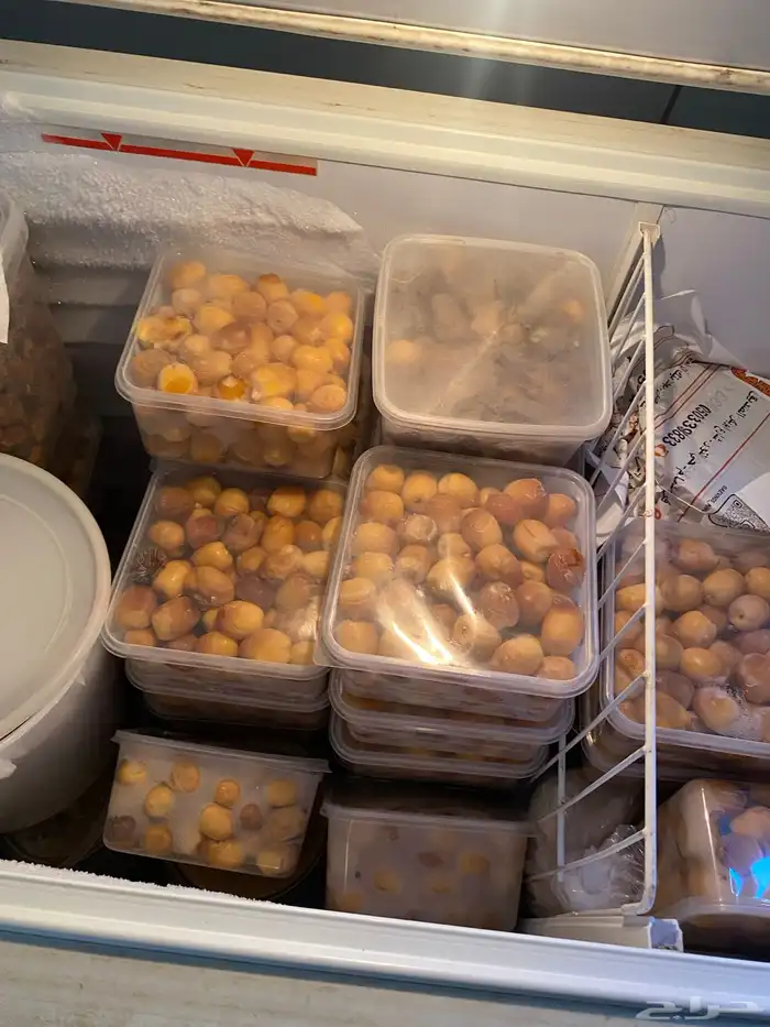 تمر لقاط مفرزن هلاليه وسكري 1