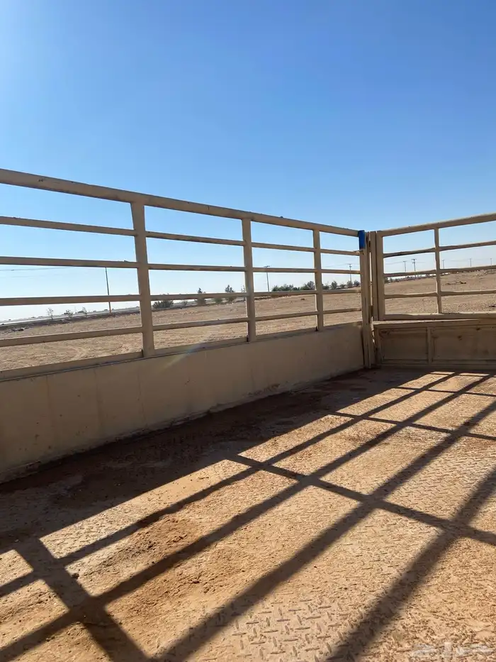 قلص حوض دنه او دينا للبيع 4